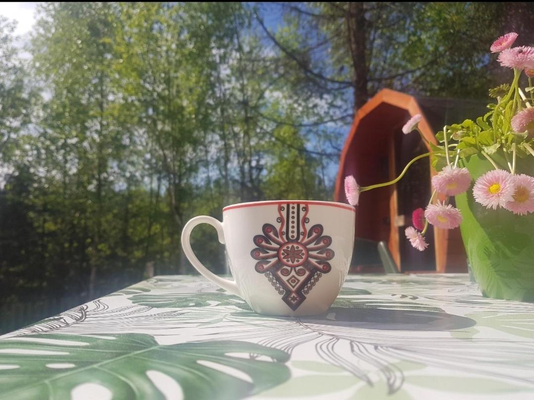 Willa Alpakowy Raj Nowy Targ Zewnętrze zdjęcie